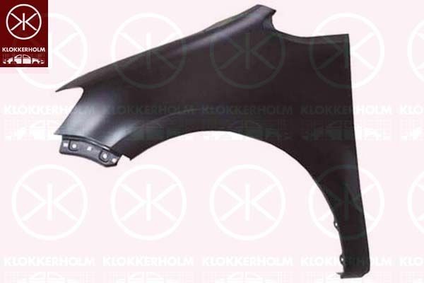 Wing fender KLOKKERHOLM 9591312 KLOKKERHOLM 9591312 2018 VW SHARAN wing replacement