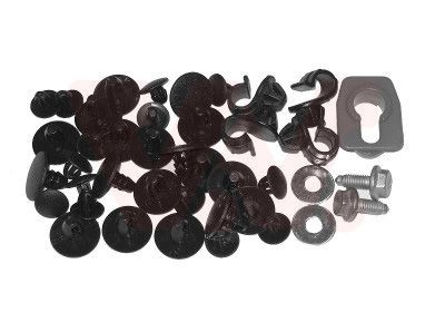 VAN WEZEL Montagesatz, Motorhaube 1754797 1754797 Motorhaubenschloss SSANGYONG REXTON VAN WEZEL kaufen