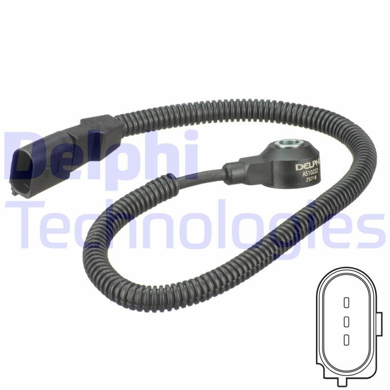 DELPHI Nakutustunnistin AS10222 VW Phaeton 3d nakutustunnistin DELPHI AS10222