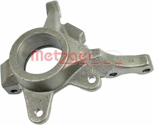 Hjulspindel, hjulophæng METZGER 58101802 METZGER 58101802 Forhjulstap RENAULT TWINGO 1999