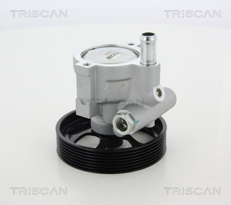 TRISCAN Ohjaustehostimen pumppu 8515 25648 8515 25648 TRISCAN Ohjaustehostimen pumppu RENAULT MODUS