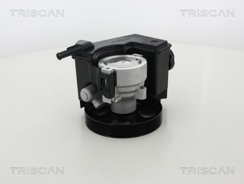 TRISCAN Stuurbekrachtigingspomp 8515 28667 Elektrische stuurpomp TRISCAN LEON 8515 28667 goedkoop