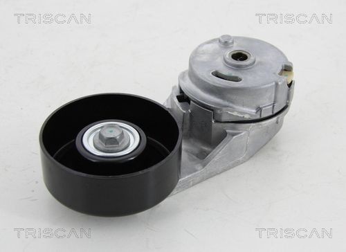TRISCAN Rullo tenditore cinghia Poly-V 8641 103044 Costo Rullo tendicinghia TRISCAN SAAB 8641 103044