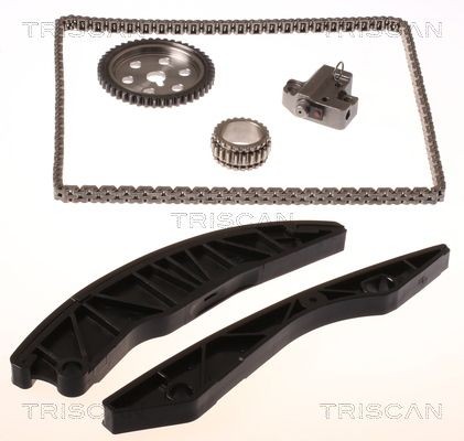 TRISCAN Timing chain kit 8650 43001 MERCEDES-BENZ R-Class TRISCAN timing chain 865043001