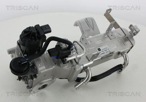 EGR-ventil TRISCAN 8813 21010 TRISCAN 8813 21010 EGR CHEVROLET CAPTIVA 2025