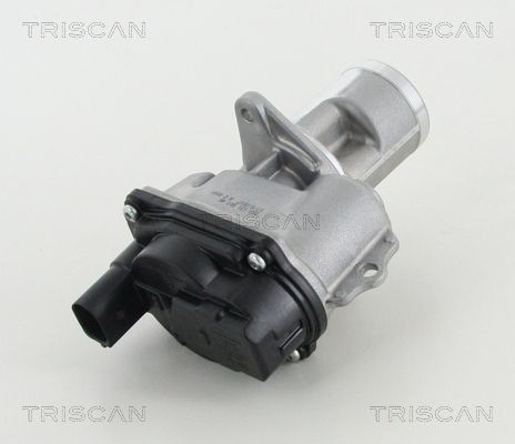 TRISCAN Venttiili, pakokaasun kierrätys 8813 29065 Audi A7 4g egr venttiili TRISCAN 8813 29065
