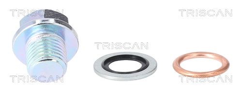 Βιδωτή τάπα, λεκάνη λαδιού TRISCAN 9500 1001 TRISCAN 9500 1001 Βίδα εκκένωσης κάρτερ Kia CERATO 2008