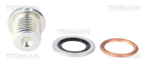 TRISCAN Vite di chiusura, vaschetta dell'olio 9500 1003 9500 1003 costo Tappo coppa olio TRISCAN RENAULT KOLEOS