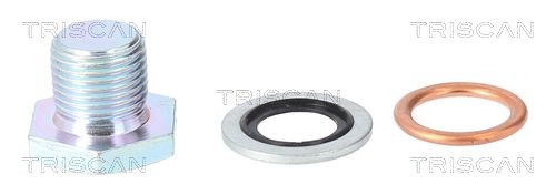 TRISCAN Vite di chiusura, vaschetta dell'olio 9500 1006 9500 1006 Tappo coppa olio TRISCAN RENAULT KOLEOS costo