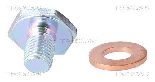 TRISCAN Sealing Plug, oil sump 9500 1010 9500 1010 TRISCAN sump plug for FORD FUSION