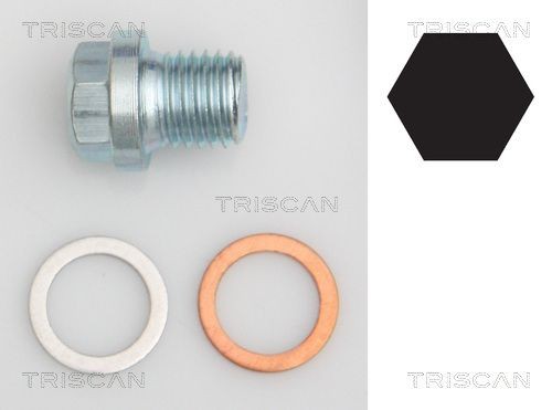 TRISCAN Afsluitschroef, oliepan 9500 1011 Nissan SENTRA Olie aftapplug TRISCAN 9500 1011