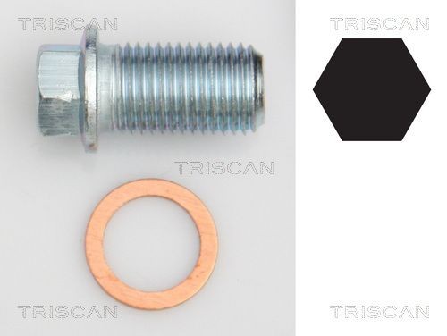 TRISCAN Vis-bouchon, carter d'huile 9500 1012 9500 1012 Bouchon de carter d'huile MERCEDES-BENZ 190 TRISCAN