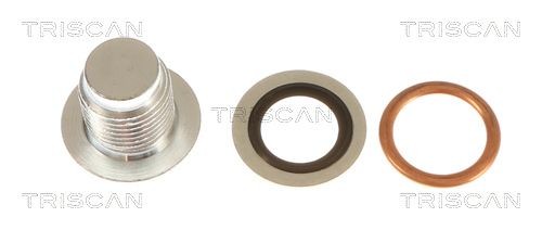 TRISCAN Parafuso de fecho, cárter do óleo 9500 1019 TRISCAN 95001019 Parafuso de fecho cárter do óleo C4 II Van / Hatchback (NC_) preço