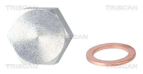 TRISCAN Påfyllingsplugg, bunnpanne 9500 2404 Påfyllingsplugg TRISCAN Hyundai TERRACAN 9500 2404
