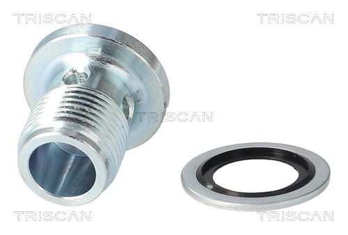 TRISCAN Vis-bouchon, carter d'huile 9500 2406 9500 2406 Vis de carter d'huile TOYOTA STARLET TRISCAN