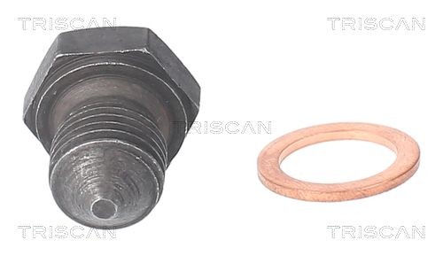 TRISCAN Sealing Plug, oil sump 9500 2902 FORD FUSION TRISCAN sump plug 95002902