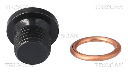 TRISCAN Afsluitschroef, oliepan 9500 2906 Citroën AMI Olie aftapplug TRISCAN 9500 2906