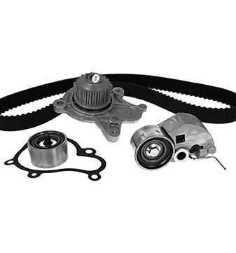 Water pump and timing belt kit METELLI 30-0829-2 METELLI 30-0829-2 2003 HYUNDAI ACCENT timing belt and water pump replacement