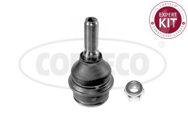 CORTECO Balst- / Virzošais šarnīrs 49395305 CORTECO 49395305 Lodbalsts VW T4 Platforma cena