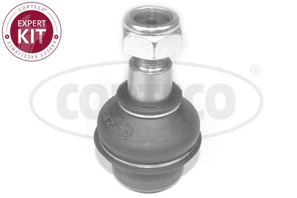 CORTECO Kande- / juhtliigend 49398452 hind Šarniir Volkswagen 2DA, 2DD, 2DH 49398452 CORTECO