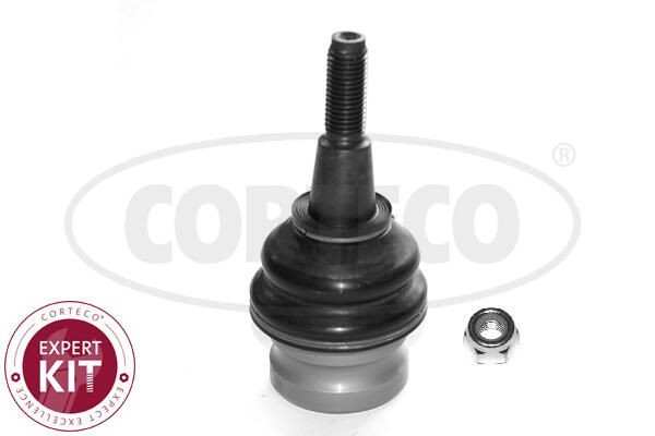 CORTECO Μπαλάκι ψαλιδιού 49398755 Μπαλάκια ψαλιδιών AUDI CORTECO 49398755