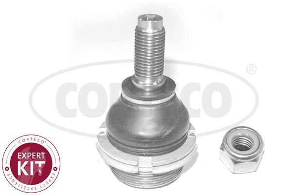 CORTECO Kande- / juhtliigend 49398886 CORTECO 49398886 originaal Šarniir 405 II Estate (4E) hind