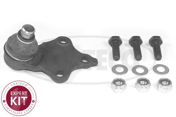 Kande- / juhtliigend CORTECO 49400610 CORTECO 49400610 Šarniir PEUGEOT 306 2002