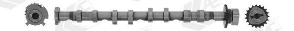 Camshaft AE CAM981 AE CAM981 2015 AUDI TT camshaft replacement