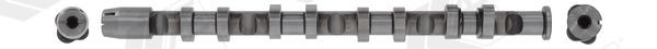 AE Camshaft CAM982 AUDI A8 AE camshaft CAM982