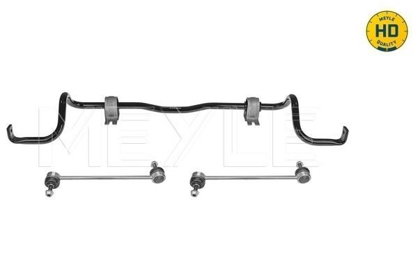 MEYLE Barra estabilizadora, chassis 16-14 653 0005/HD MEYLE 16-146530005/HD Jogo de barras estabilizadoras Renault Megane 1 Cabrio preço