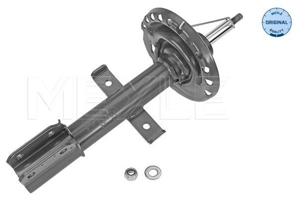 MEYLE Ammortizzatore 16-26 623 0024 16-26 623 0024 Ammortizzatori MEYLE RENAULT 25 costo