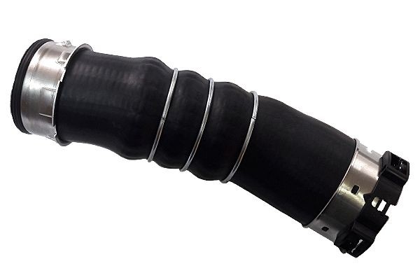 BUGIAD Gaine de suralimentation 81697 BUGIAD 81697 Gaine de suralimentation BMW 1 5 portes (E87) 120 i 170 CV 2010