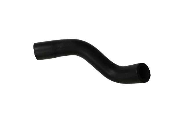 BUGIAD Flessibile olio BSP25021 BUGIAD BSP25021 Tubo recupero vapori olio Mini Coupe originali