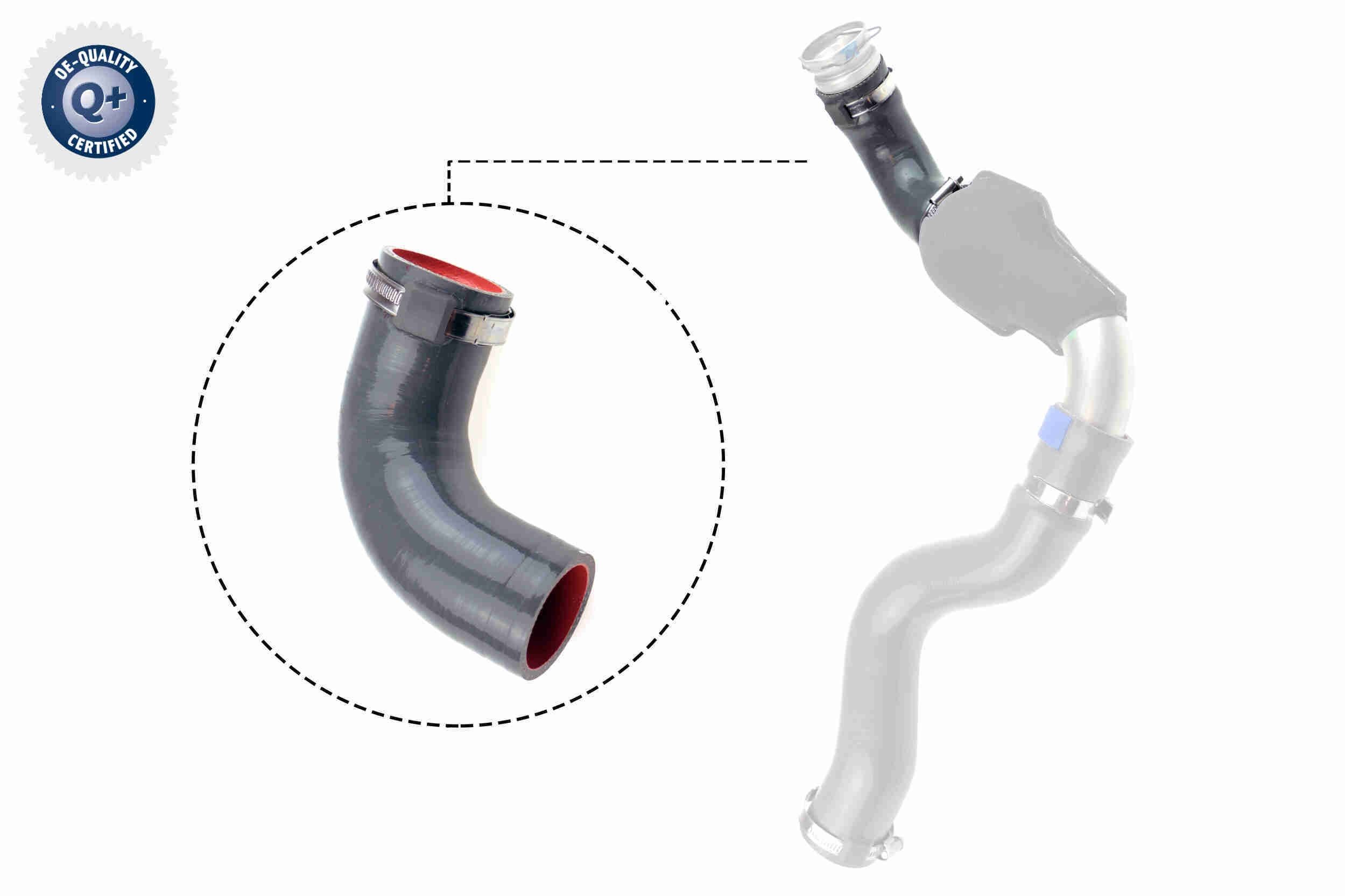 VAICO Kompressoriõhuvoolik V46-1035 V46-1035 Laadimisõhu voolik VAICO NISSAN MAXIMA