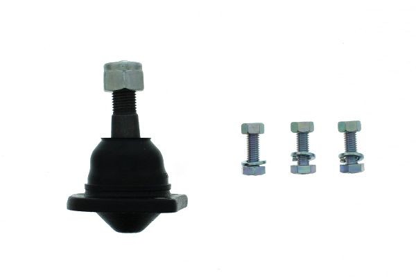 Fuseekogel AISIN JBJKI-009 AISIN JBJKI-009: Kogel, fusee Lada NIVA 2019