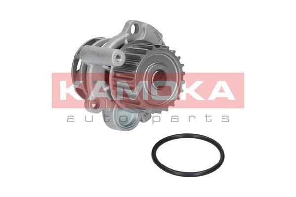 KAMOKA Wasserpumpe T0033 KAMOKA T0033 NISSAN MICRA Wasserpumpe Kosten