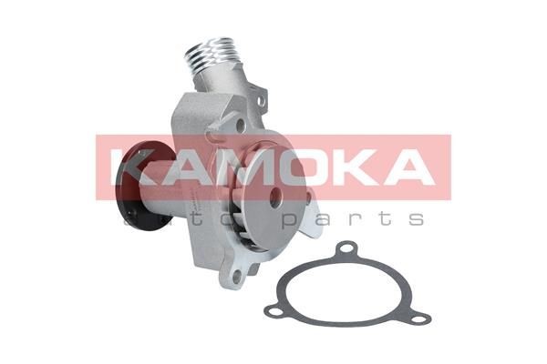 KAMOKA Vandpumpe T0054 KAMOKA T0054 BMW E28 Vandpumpe pris