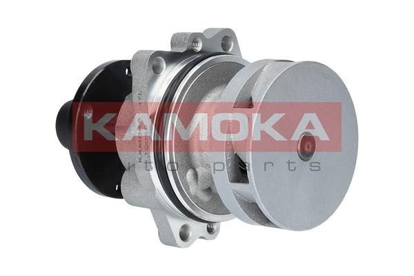 Vannpumpe KAMOKA T0058 KAMOKA T0058: Vannpumpe Renault VEL SATIS 2023