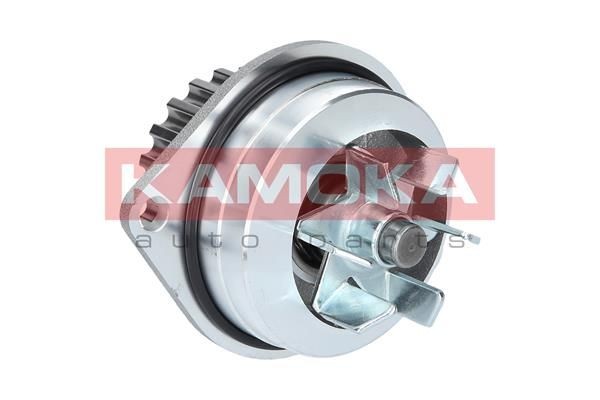 KAMOKA Vandpumpe T0079 pris Vandpumpe Peugeot 4B T0079 KAMOKA