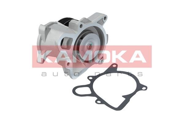 KAMOKA Vodné čerpadlo T0173 KAMOKA T0173 Vodné čerpadlo Montego Sedan originálne cena