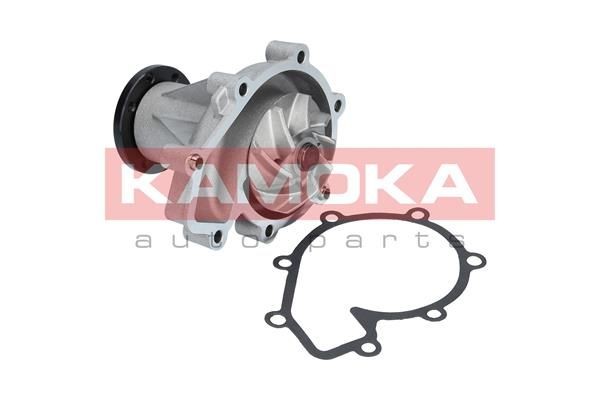 Vannpumpe KAMOKA T0181 KAMOKA T0181: Vannpumpe SsangYoung MUSSO 2015