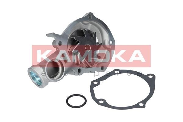 Vandpumpe KAMOKA T0209 KAMOKA T0209: Vandpumpe Mitsubishi CARISMA 2003