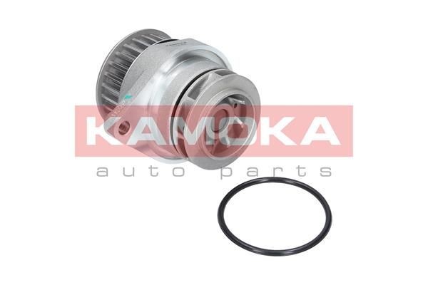 KAMOKA Veepump T0249 KAMOKA T0249 originaal Veepump Altima L32 hind