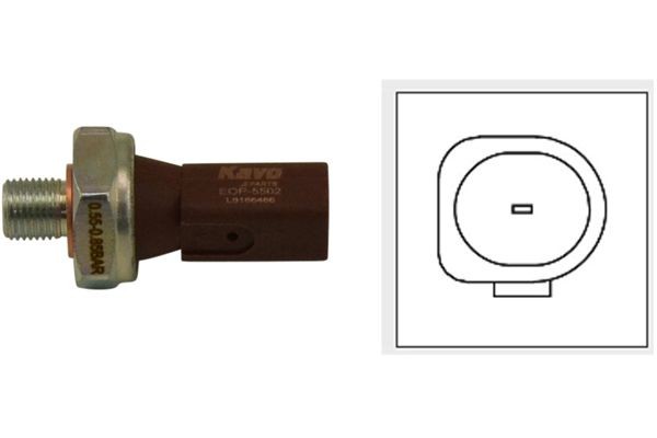 Διακόπτης πίεσης λαδιού KAVO PARTS EOP-5502 KAVO PARTS EOP-5502 Διακόπτης πίεσης λαδιού AUDI A6 2017