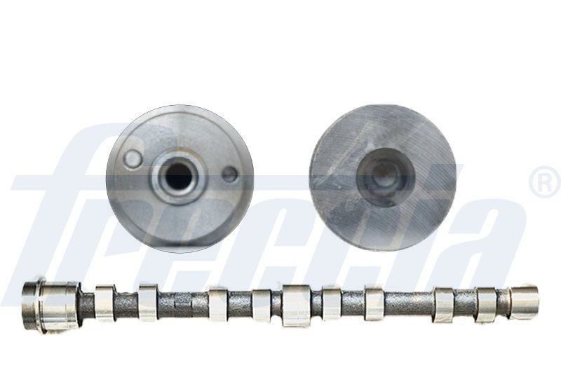 FRECCIA Camshaft CM05-2273 FRECCIA CM05-2273 Daily III Minibus camshaft cost