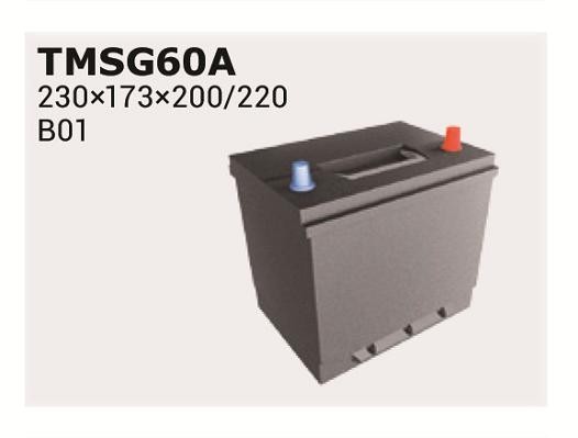 IPSA Batteria TMSG60A TMSG60A Stop&Go costo Batteria HYUNDAI PONY IPSA