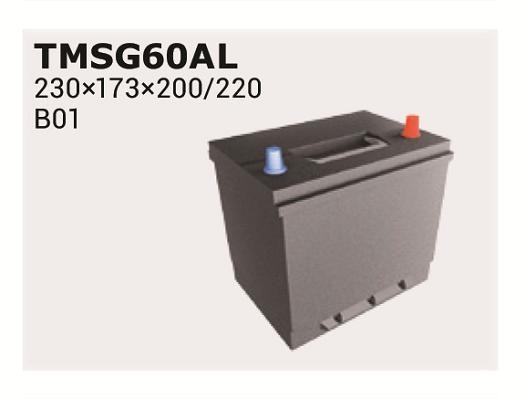 IPSA Accu TMSG60AL IPSA TMSG60AL Autoaccu Galant 3 Station Wagon A120 prijs