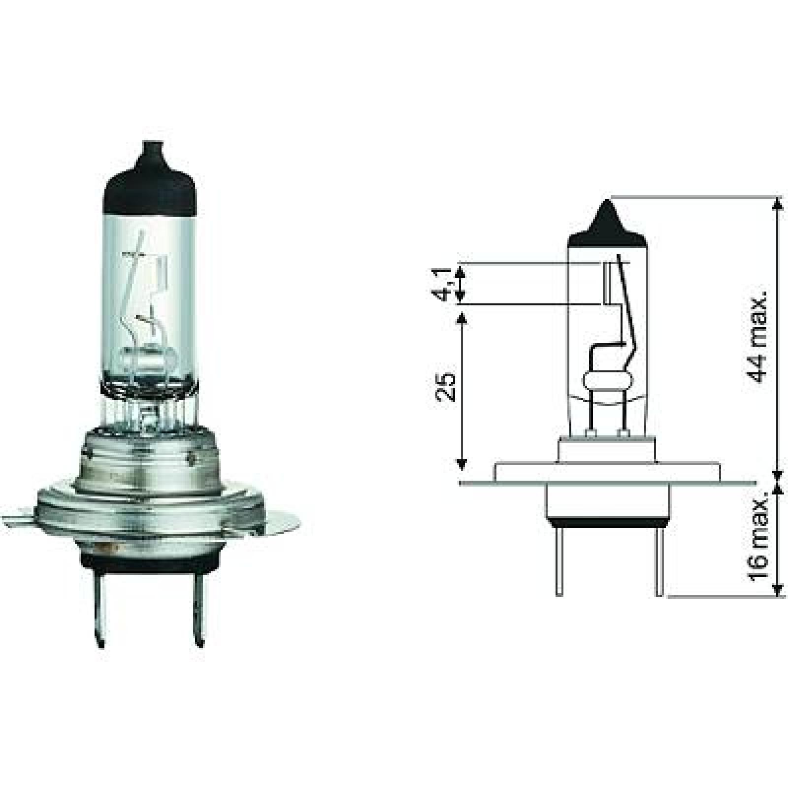 DIEDERICHS Bulb, spotlight LID10019 car Fog lamp bulb DIEDERICHS LID10019 buy