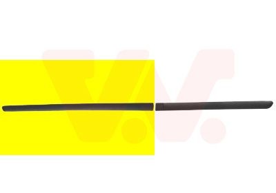 Friso, porta VAN WEZEL 4040423 VAN WEZEL 4040423 Jogo de frisos PEUGEOT 307 2001