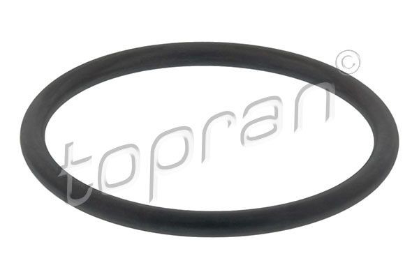TOPRAN Tetning, luftfilterkasse 113 883 113 883 Holder, luftfilterhus SKODA FABIA TOPRAN